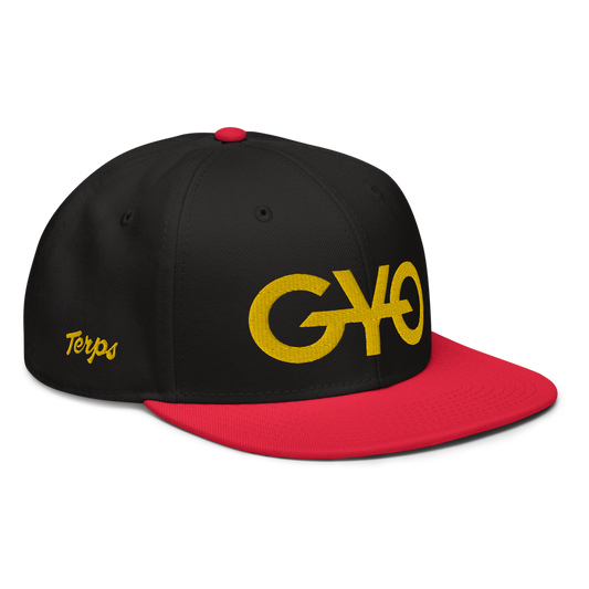 MD Terps 🐢 Color Scheme Snapback
