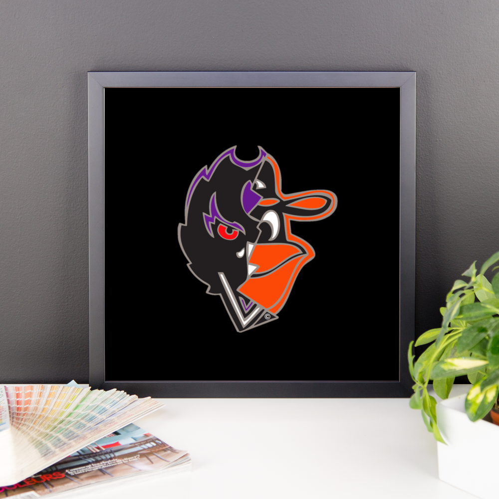 Baltimore's Finest Framed photo paper poster