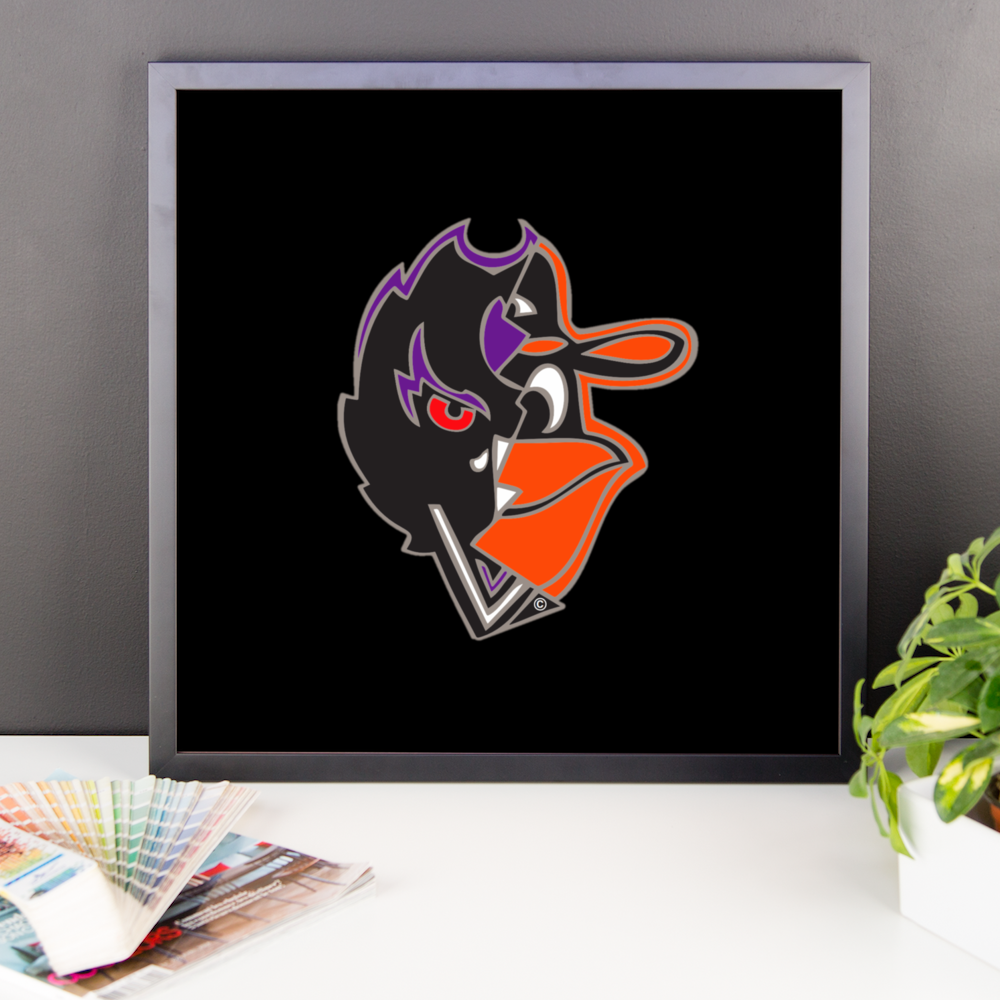 Baltimore's Finest Framed photo paper poster